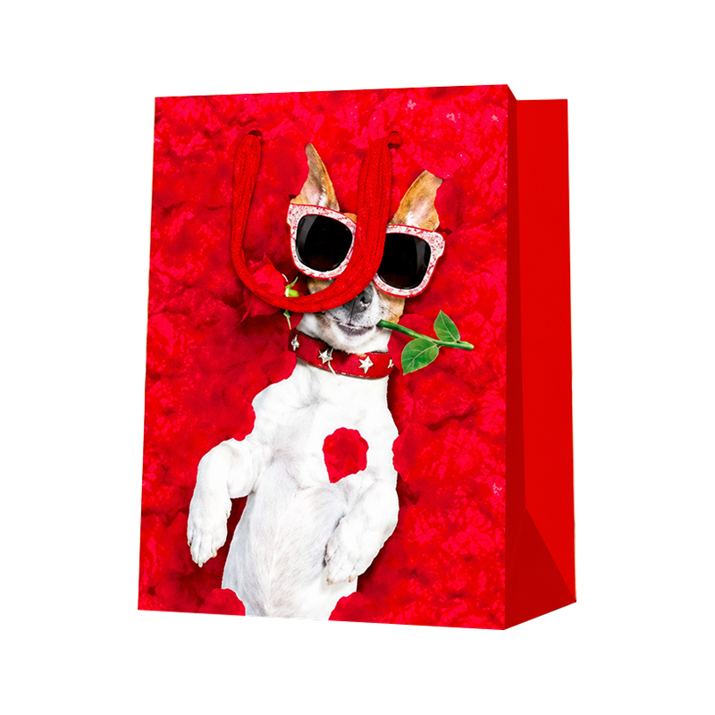 Bolsas de regalo verticales para perros de moda geniales